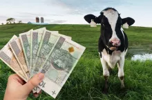 Prognoza cen dla rynku mleka