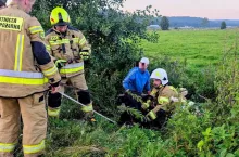 Byk otrzymał pomoc i został uratowany