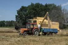 Sypanie zboża z kombajnu na przyczepę rolniczą na polu podczas żniw