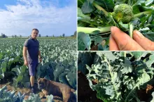 Gradobicie na Kujawach