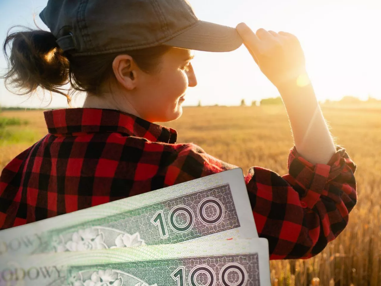 kobieta rolniczka na polu, po lewej u dołu polskie banknoty
