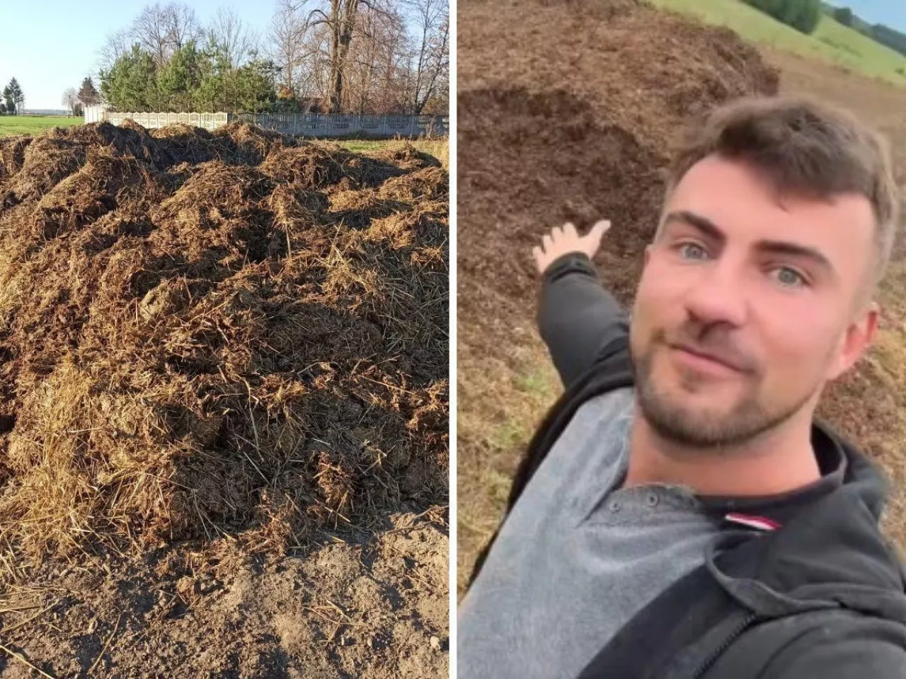 obornik na polu, rolnik pokazuje ręką obornik