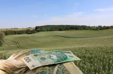pole, ziemia rolna, polskie banknoty u dołu
