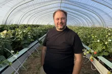 Dawid Janiak, plantator truskawek, w jednej z kwater z odmianą 'Karima' (17.09.)