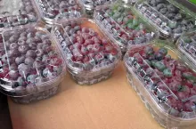Borówki krajowe.