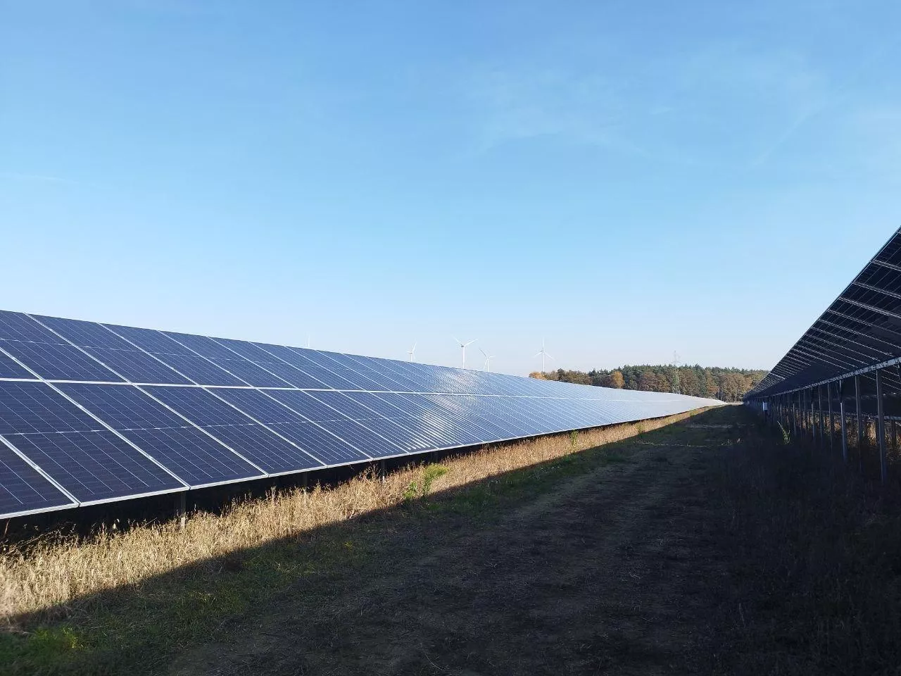 Energia dla wsi wraca. Rolnicy mogą dostać pieniądze na OZE