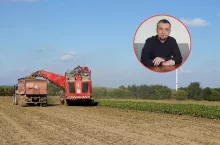 Rafał Strachota o rynku cukru i buraków cukrowych w Polsce
