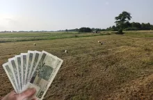pole, łąki, po lewej u dołu ręka z polskimi banknotami