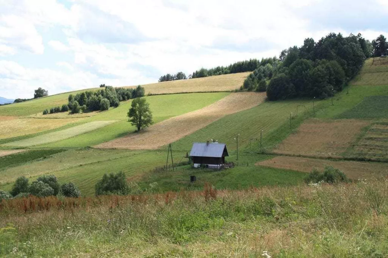 Nie chciał sprzedać 4,5 ha ziemi. Teraz dostaje za nią prawie 4 tys. zł tygodniowo