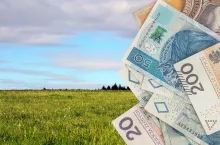 łąka, po prawej polskie banknoty
