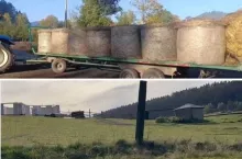 Rolnik przywiózł siano i owies dla zwierząt z zoo w Łącznej