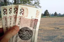 pole, dłoń z polskimi banknotami 