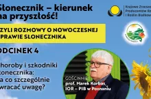 Baner Słonecznik kierunek na przyszłość odc. 4. Marek Korbas 