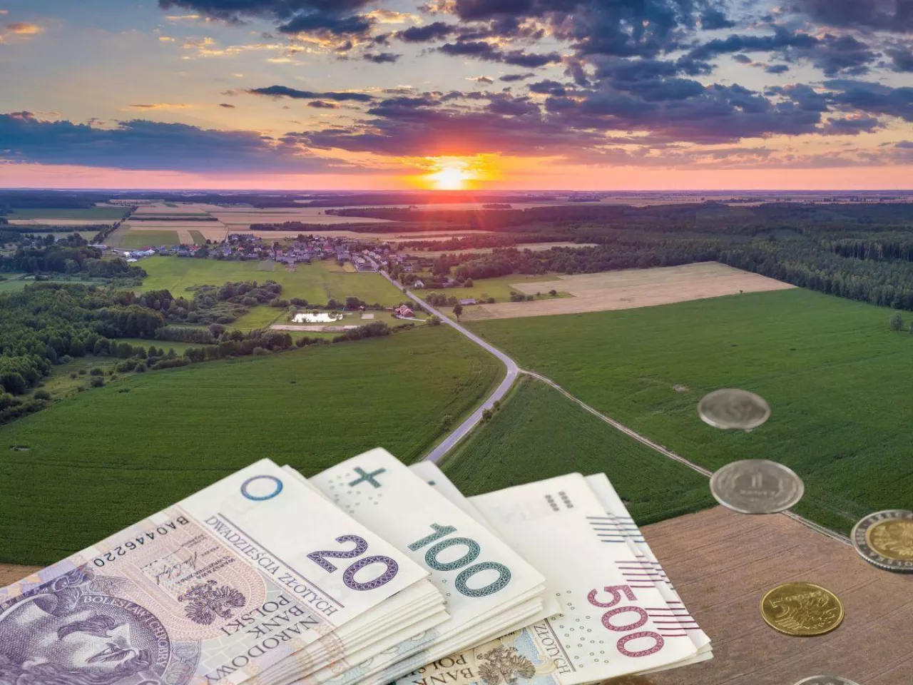 Ponad 400 ha wydzierżawi KOWR w Wielkopolsce. Przetargi na lipiec 2024